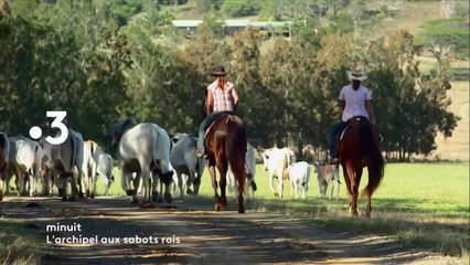 Profs en territoires perdus de la République ? - 19 septembre