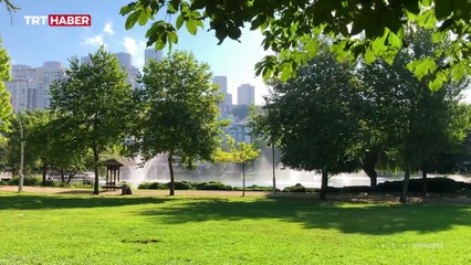 Çevresel Farkındalık: Semtimizdeki Antarktika