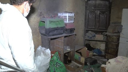 Çöp evde ölen köpekleri saksılara saklamış