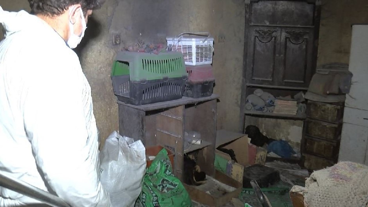 Çöp evde ölen köpekleri saksılara saklamış