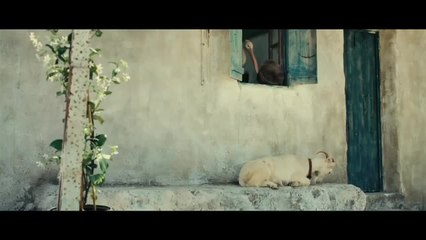 Nicostratos, le pélican