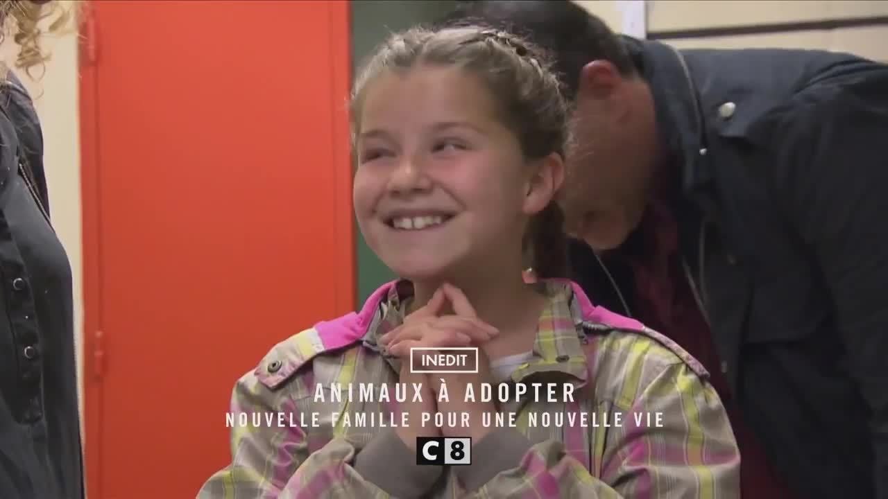 Animaux à adopter - 20 septembre
