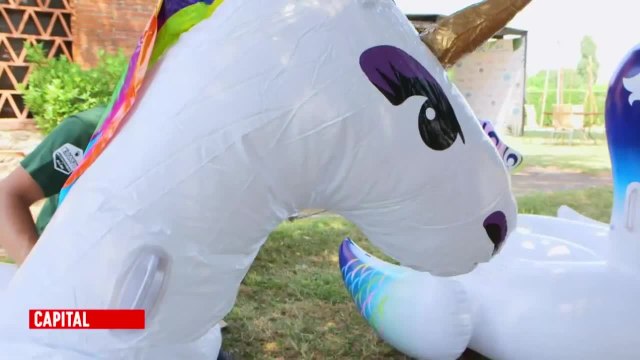Exclu. Capital (M6) : contre la canicule, ils organisent une pool party avec un paon et une licorne gonflables !
