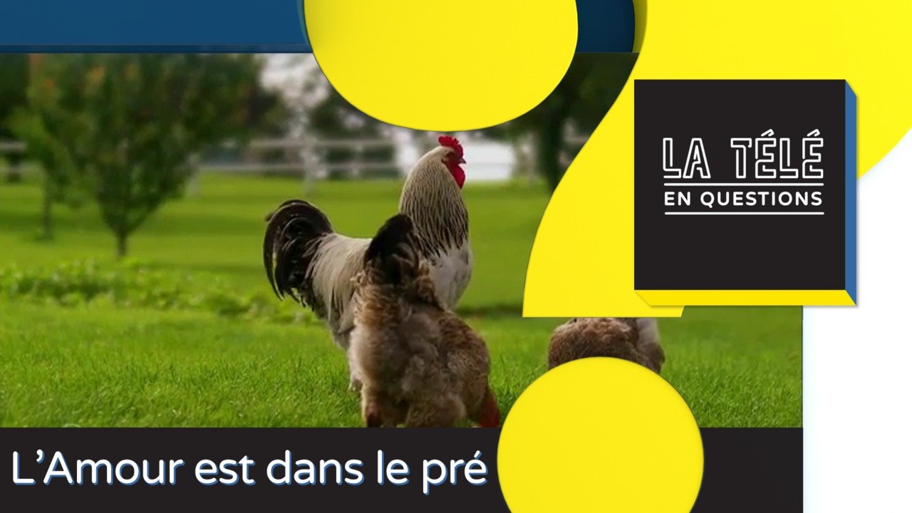 TLQ L'amour est dans le pré : Karine Le Marchand est-elle informée en temps réel de la situation amoureuses des candidats ?