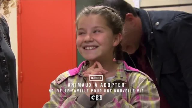 Animaux à adopter nouvelle famille pour une nouvelle vie - 6 septembre