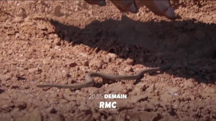 Australie, la ruée vers l’or - 31 août