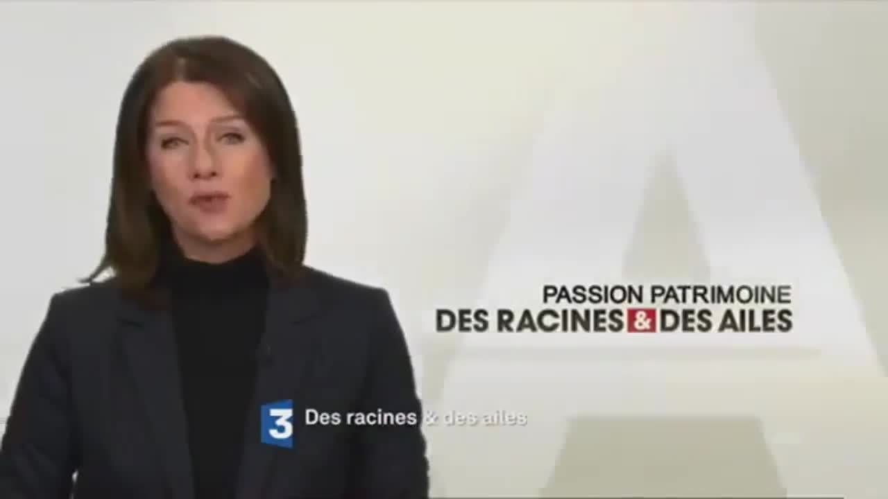 Des racines et des ailes : Terres de Bretagne, du pays rennais à la presqu'île de Crozon
