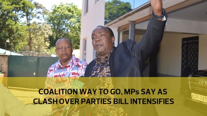 Coalition way to go, MPs say as clash over Parties Bill intensifies