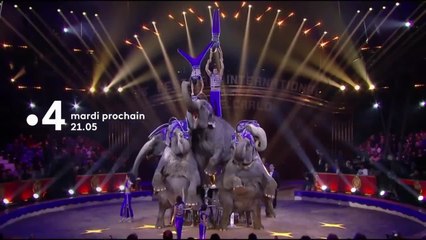 Festival du cirque de Monte-Carlo - 20 août