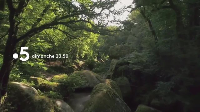 Les 100 lieux qu'il faut voir - 18 aout