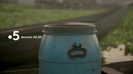 Drôles de villes pour une rencontre - 14 août