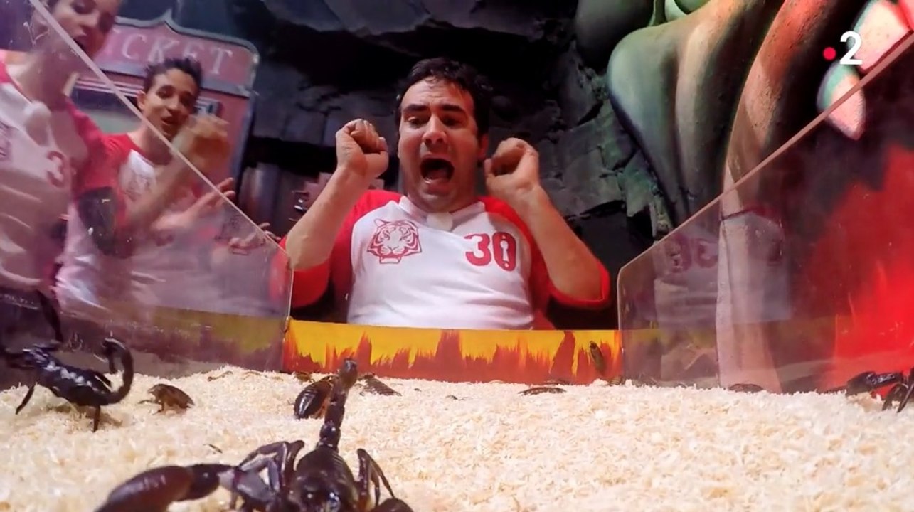 Fort Boyard : tétanisé par des scorpions, Alex Goude pousse des hurlements stridents !