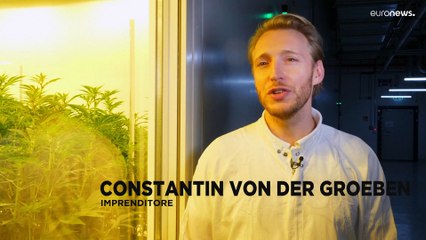 Germania, sulla via della marijuana legale