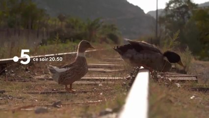 Des trains pas comme les autres - 8 août