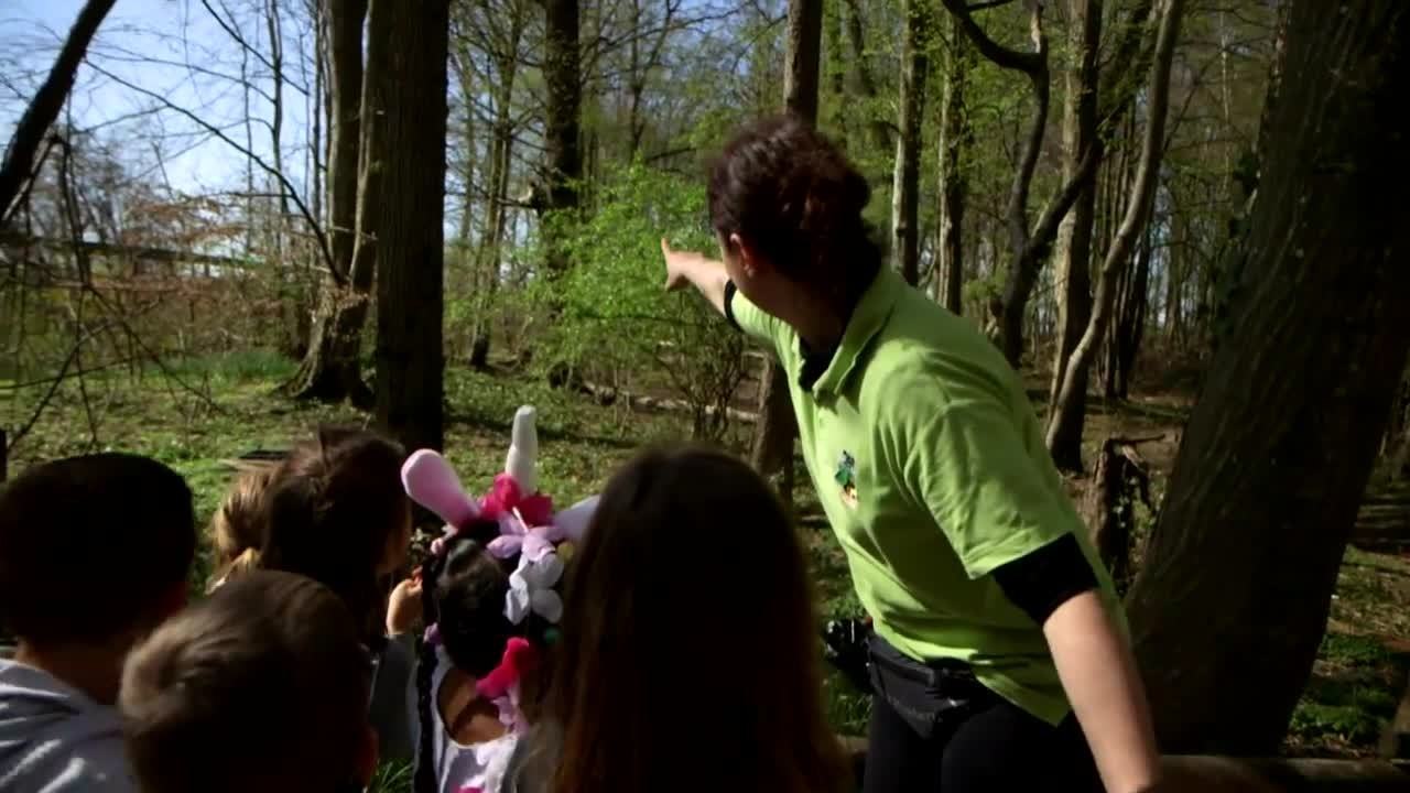 Exclu. Capital (M6) : pour augmenter son chiffre d'affaires, ce gérant de zoo duplique son modèle et ouvre un parc dédié aux singes