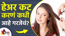 हेअर कट करणं कधी आहे गरजेचं | Why you NEED to Get a Haircut | Hair Care Tips 2022 | Lokmat Sakhi