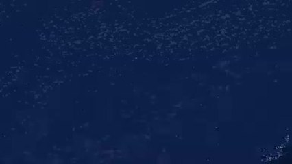 PSG - La fuite des titis parisiens