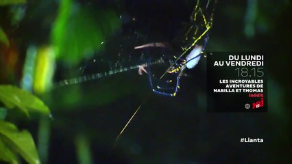 Les incroyables aventures de Nabilla et Thomas en Australie