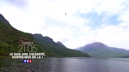 Je suis une célébrité, sortez-moi de là !: Episode 2