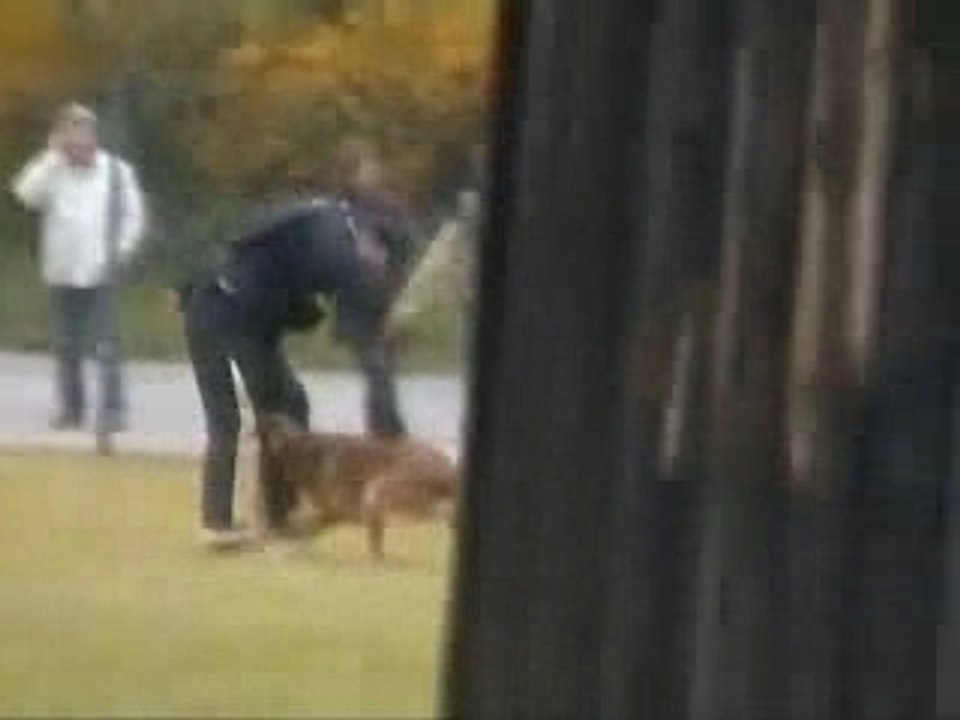 Syrius de Vulcain Sélectifs