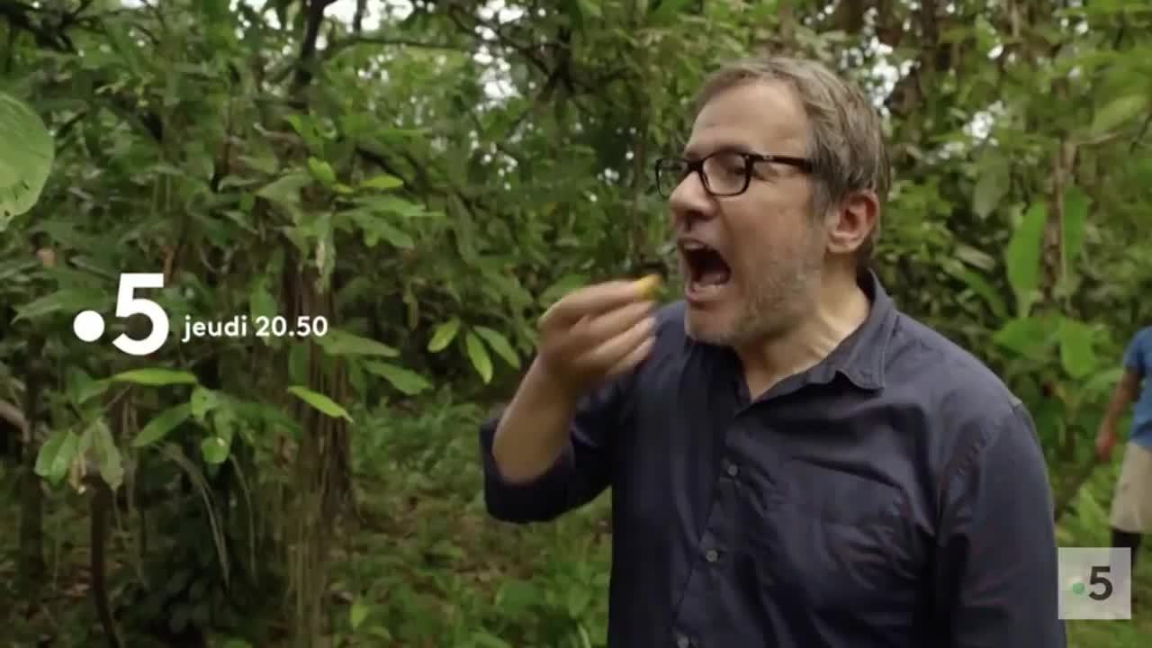 Des trains pas comme les autres : Equateur