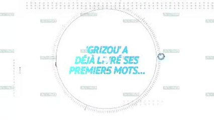 Barça - Le transfert de Griezmann vu par les réseaux sociaux