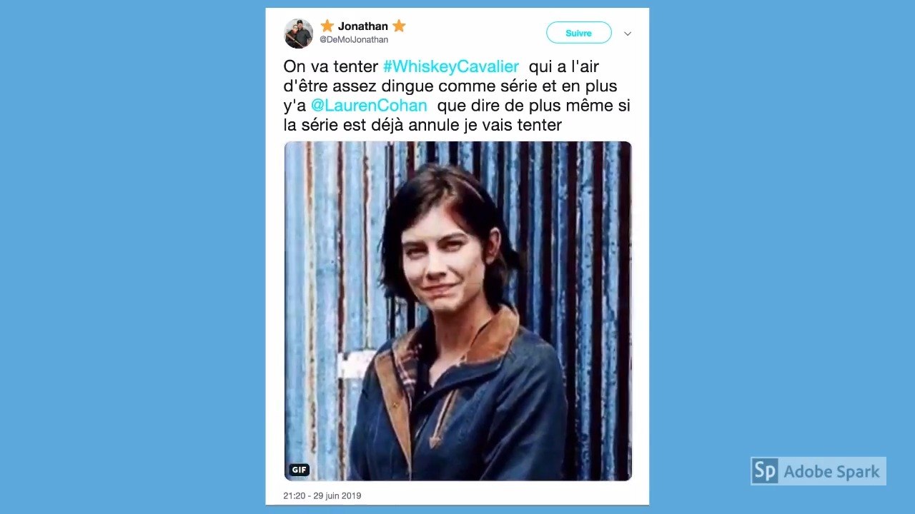 Whiskey Cavalier : qu'ont pensé les Twittos de la nouvelle série de TF1 avec Lauren Cohan et Scott Foley ?