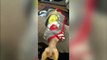 A CHRISTMAS CAT-ASTROPHE - A self-confessed ‘crazy cat lady’ delights in dressing up her cats in Christmas outfits – but they are NOT amused.