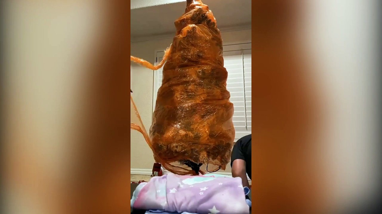 Moment a mum unwrapped her Christmas tree with last years decorations still in place - after preserving the ornaments in memory of her late son