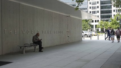 للقصة بقية.. دور المؤسسات المالية الدولية