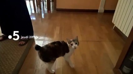 J'irai dormir chez vous spéciale : Espagne