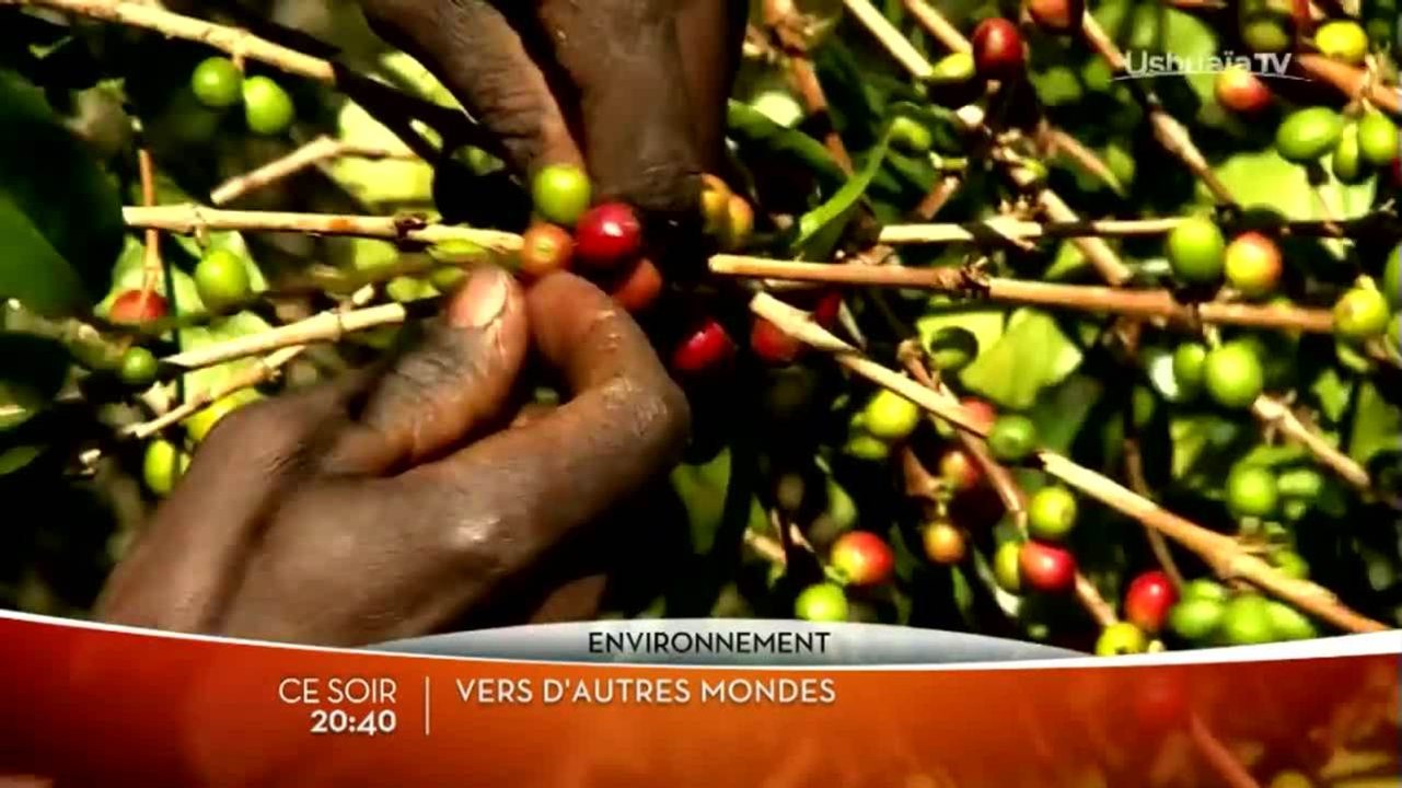 Vers d'autres mondes - saison 2