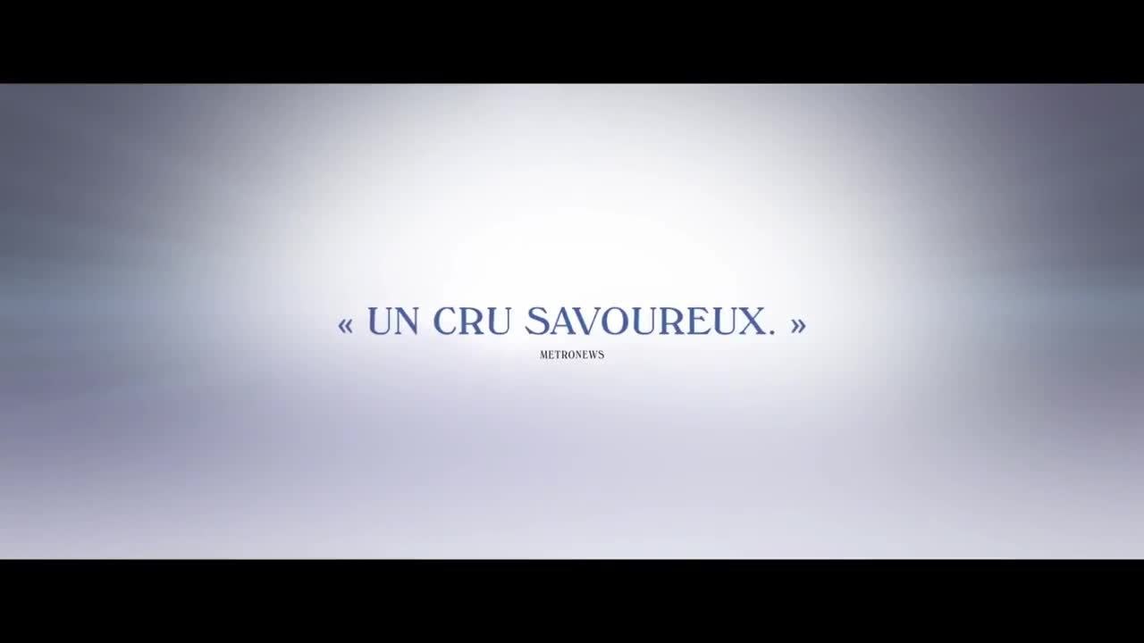 L'_homme irrationnel