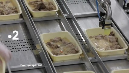 Envoyé spécial - 27 juin