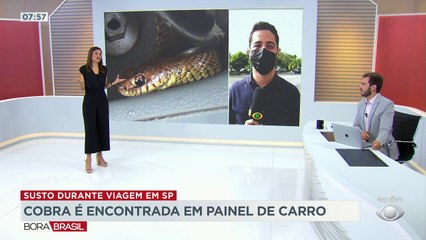 Mais de 200 mil vagas em concursos públicos estão abertas  em todo país. Especialista garante que este é um dos melhores anos da história para ingressar no serviço público.