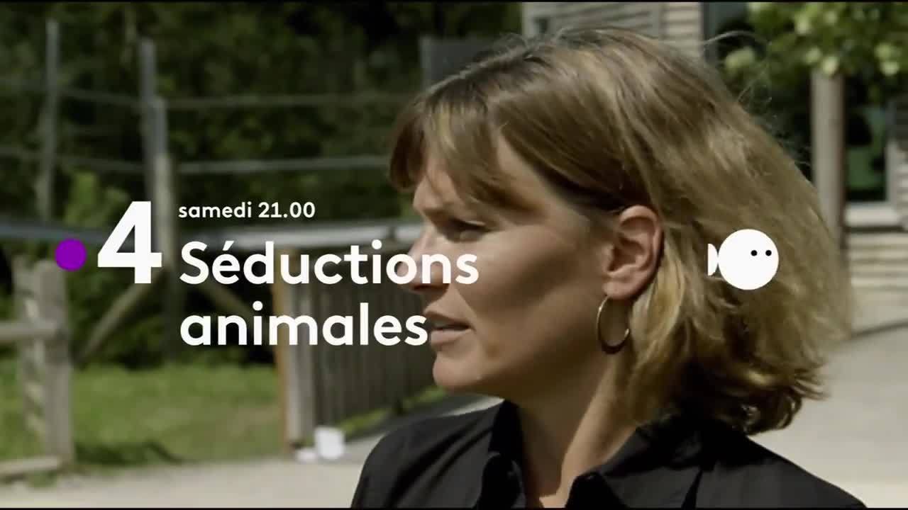 Séductions animales - 8 juin