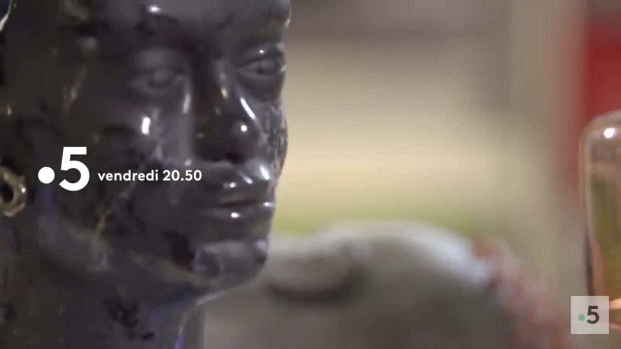 La maison France 5 : Changer : Stéphane Millet doit rééquilibrer une pièce de vie, en créant également des rangements