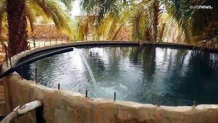 Мавритания: до "Великой зелёной стены" пока далеко