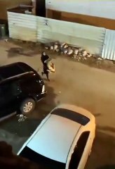 Une femme ramène son "gros chat" à la maison !