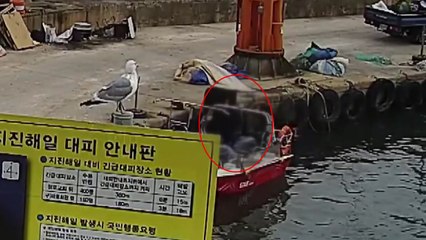 CCTV 돌려놓고 항구에서 물건 훔친 30대 검거 / YTN