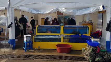 [인천] 화재 겪은 영흥도 수산물 직판장, 임시 영업 재개 / YTN