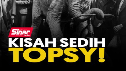 Kisah sedih Topsy!