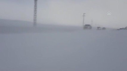 Mehmetçik çetin kışın yaşandığı Ağrı'da yaban hayvanlarını unutmadı