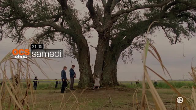 True Detective saison 1 épisodes 1 & 2