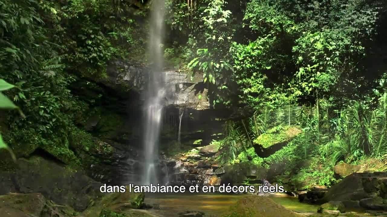 The Green Inferno