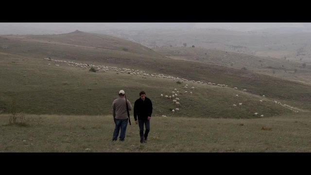 Rester Vertical - 20 mai