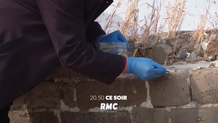 Révélations monumentales - 28 mai