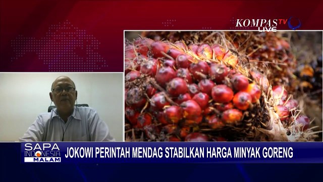 Jokowi Perintahkan Kemendag Segara Stabilkan Harga Minyak Goreng