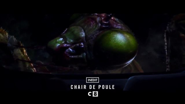 Chair de poule : le film