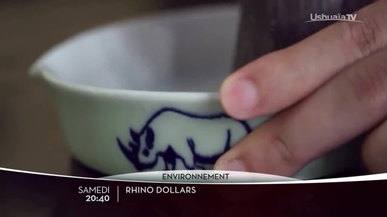 Rhino dollars